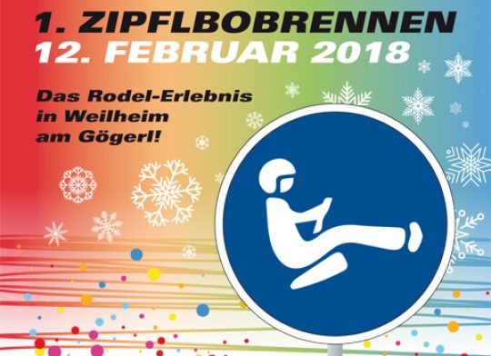 mini bob Der original Zipflbob Plastikbob Zipfybob Zipfelbob